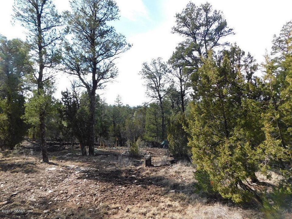 1st image of 1919 Elk Rd