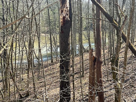 2nd image of 3105 Gratz Rd #59 & 60