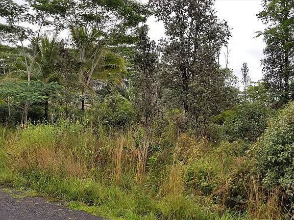 2nd image of 5th Ave Lot 1232
