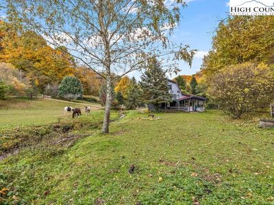 2450 NC HWY 88, Zionville, NC, 28698