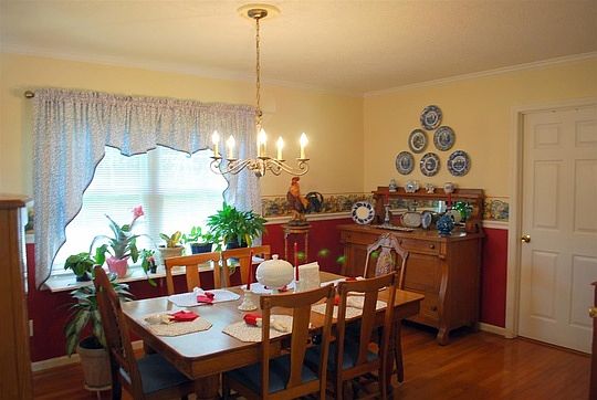 faces a forrest of trees 