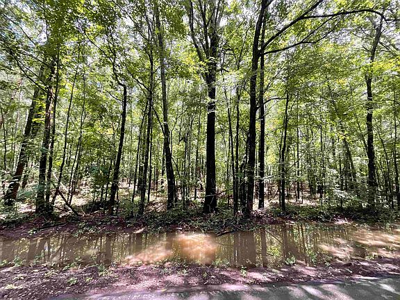 4th image of County Road 110