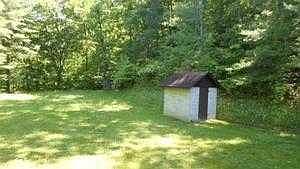 back yard