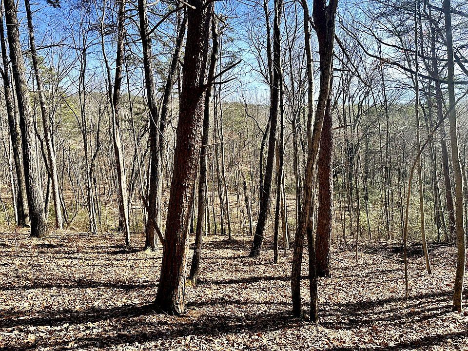 1st image of 0 Hobbstown Rd