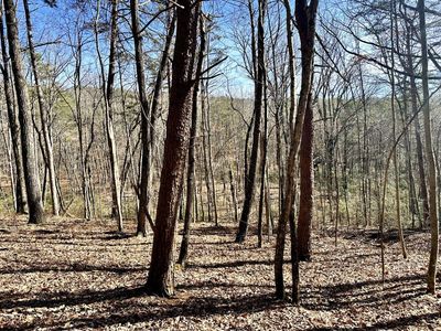 0 Hobbstown Rd, Dunlap, TN, 37327
