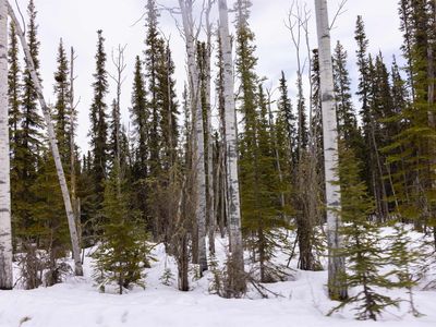 Nhn Agnes Ln, North Pole, AK, 99705