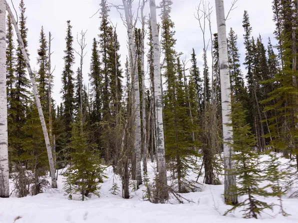 Nhn Agnes Ln, North Pole, AK 99705