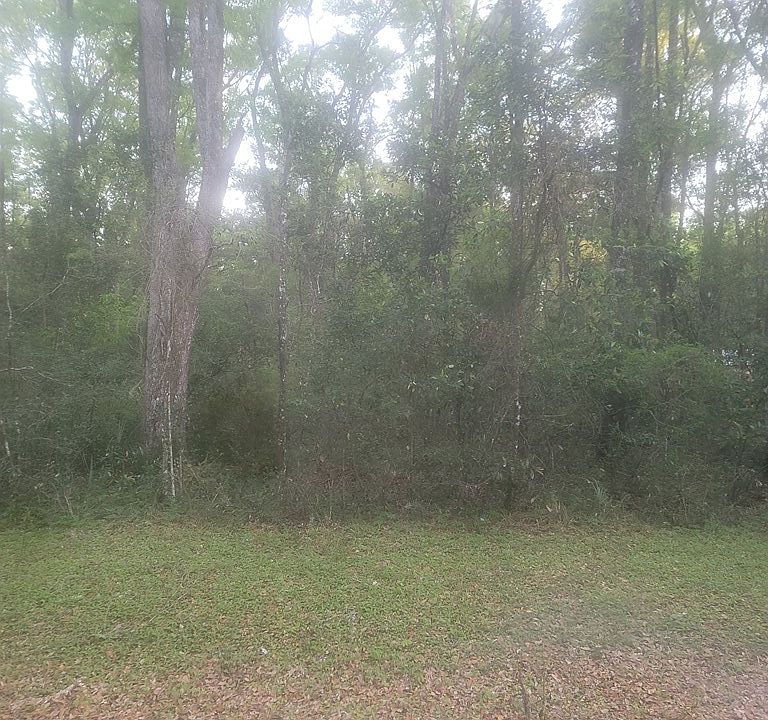 2nd image of TBD NE 249th Ave