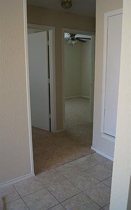 4th image of 8503 Sugarberry Pl