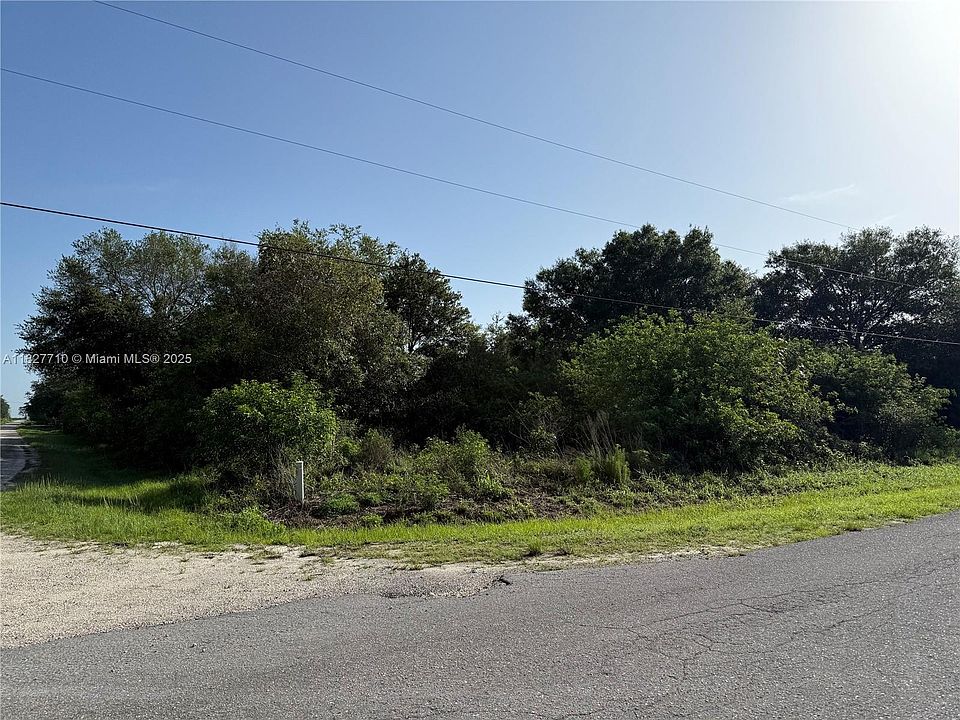 1st image of 203 Bald Cypress Ave