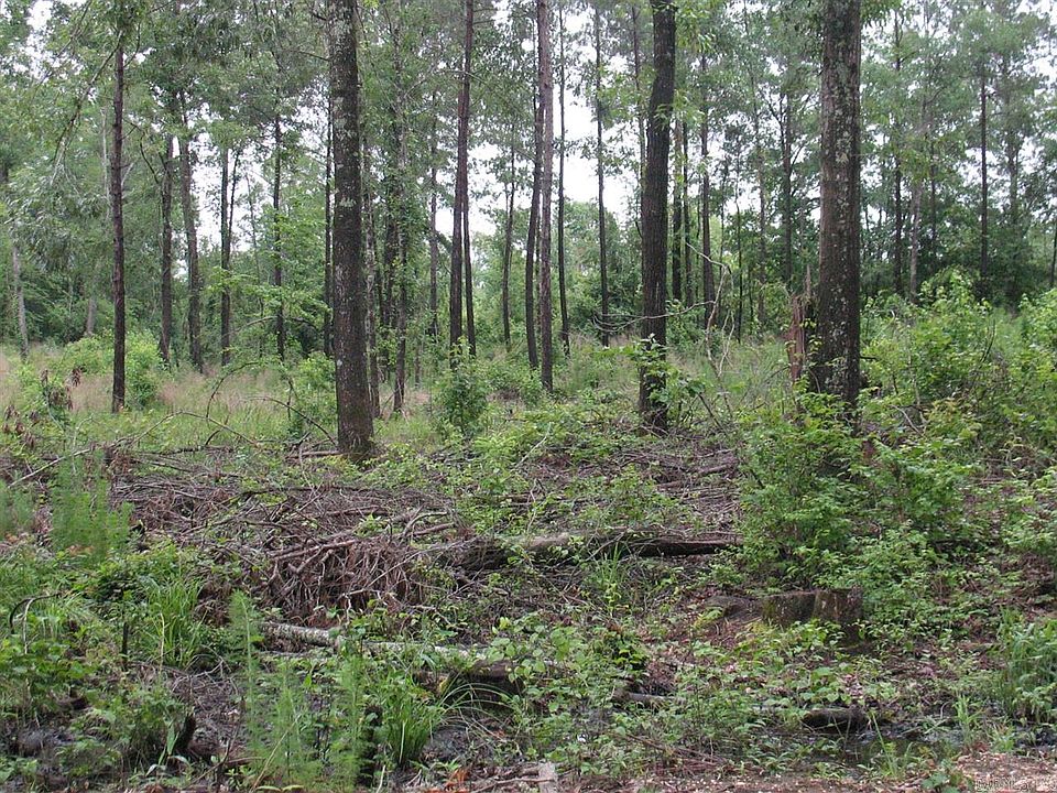 2nd image of 0 Union Cty Ar 63.8 Acres
