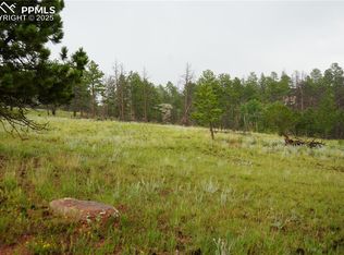 308 Chapparal Trl, Florissant, CO 80816
