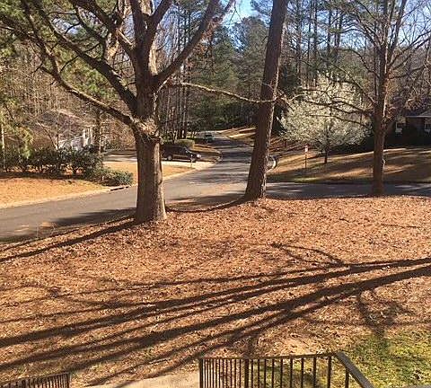 4th image of 242 Cedar Dr