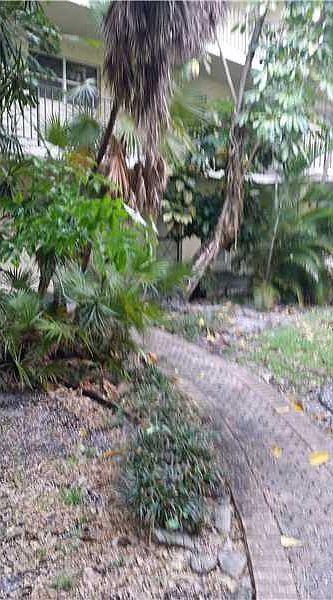 1st image of 3300 Spanish Moss Ter APT 101