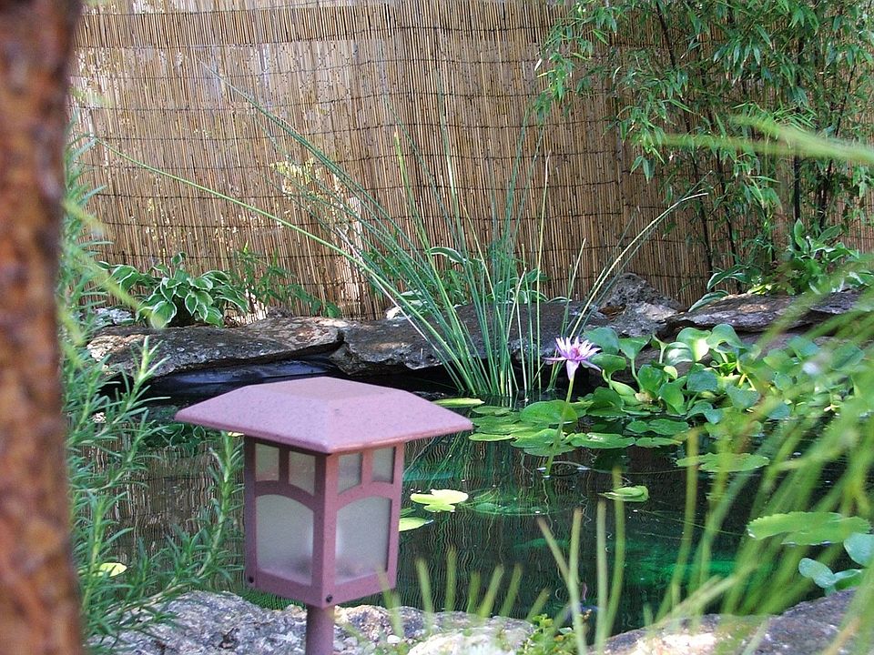 Lots of Wildlife
