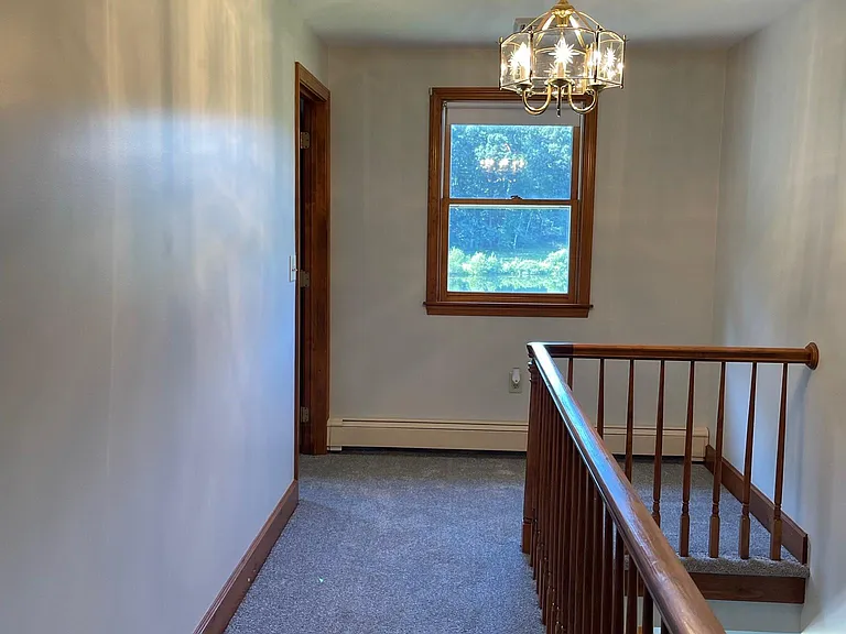 35 Whiley Rd — Photo 16