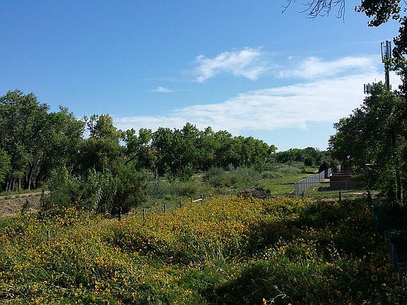 Pre 2017 view of back garden