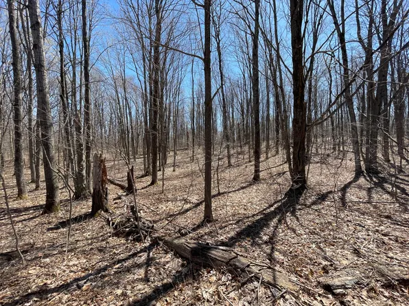 LOT 281 Acacia Dr, Mancelona, MI 49659