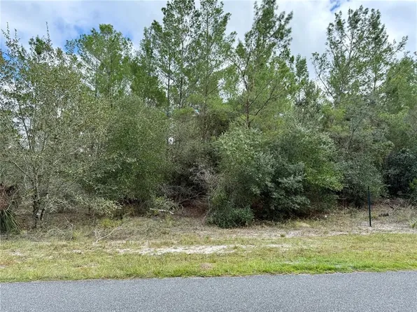 Jericho Trl Lot 7, Eustis, FL 32736