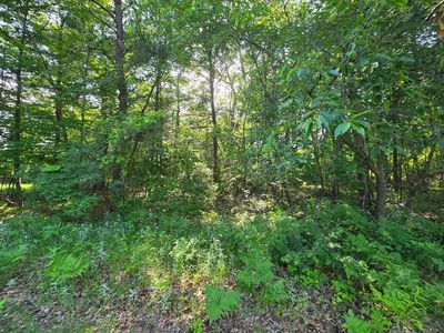 2 & 3 N Nelson St, Grantsburg, WI, 54840