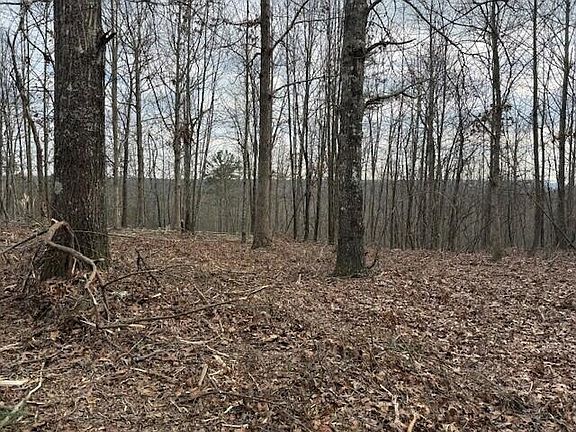 2nd image of TRACT 11 S Pittsburg Mountain Rd