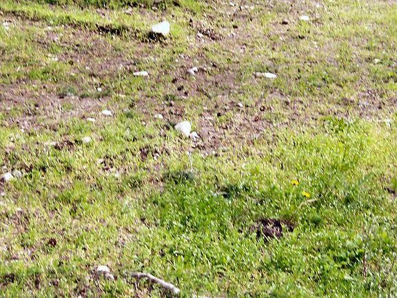 1,000sq.ft Shop Marked Out