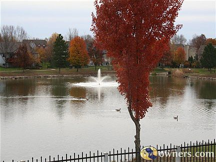 View From the Deck in Autumn
