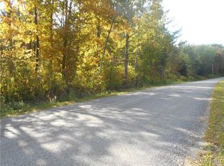 Irish Hill Rd LOT 3, Ellicottville, NY 14731