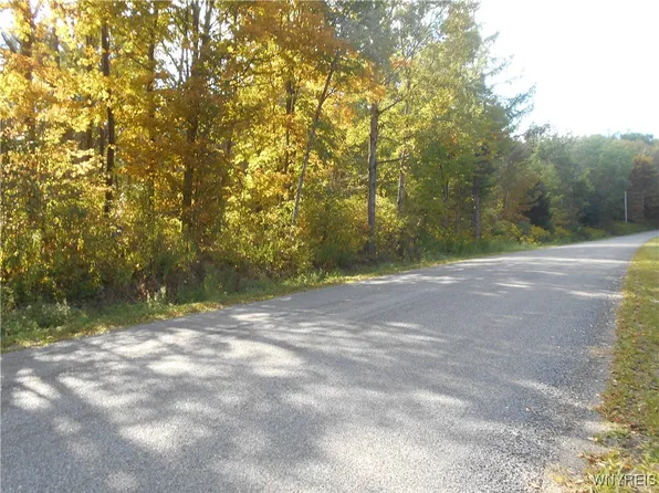 Irish Hill Rd Lot 3, Ellicottville, NY 14731