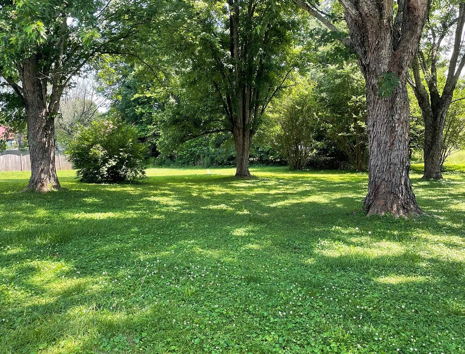 2 bed, 1012 sqft, $1,350 — Photo 3