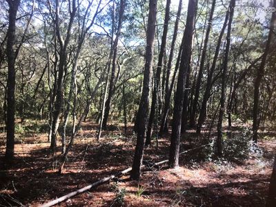 107 NEVADA Drive, Satsuma, FL, 32189