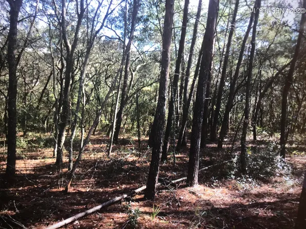 107 NEVADA Drive, Satsuma, FL 32189