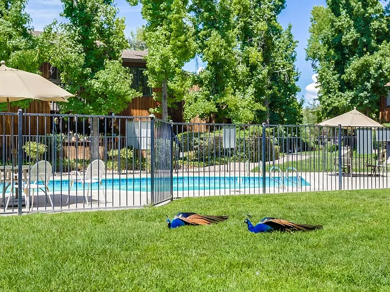 2157 Arnold Way #712 — Photo 33