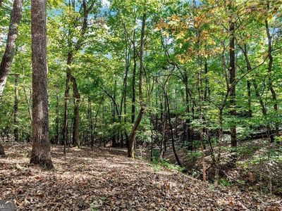 133 Stamp Mill Dr, Dahlonega, GA, 30533