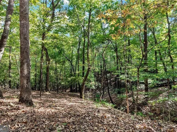 133 Stamp Mill Dr, Dahlonega, GA 30533