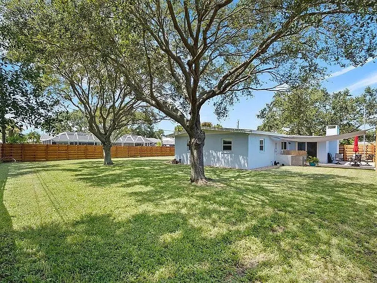 Back yard