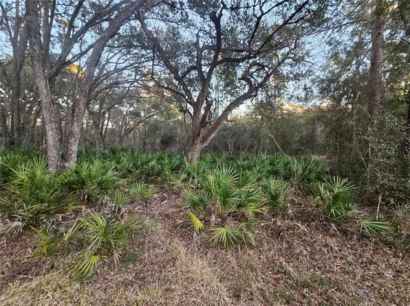 Rosehill Dr Lot 1, Webster, FL 33597