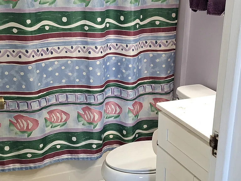 Guest bathroom