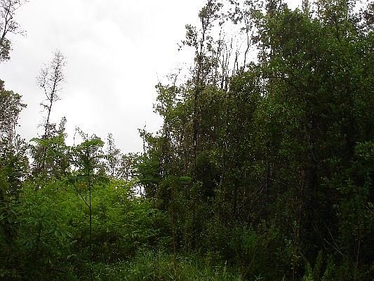 2nd image of 25 Avenue