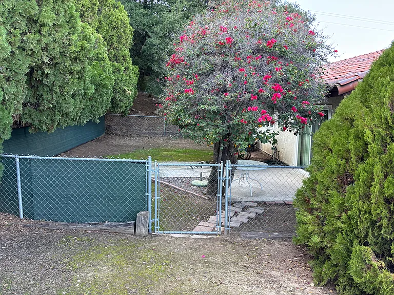 15125 Serenity Ln — Photo 7