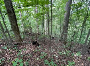 LOT 19 Bear Run, Hiawassee, GA 30546