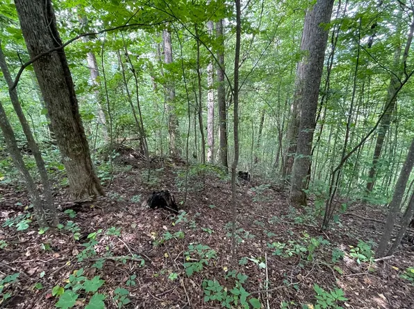 LOT 19 Bear Run, Hiawassee, GA 30546