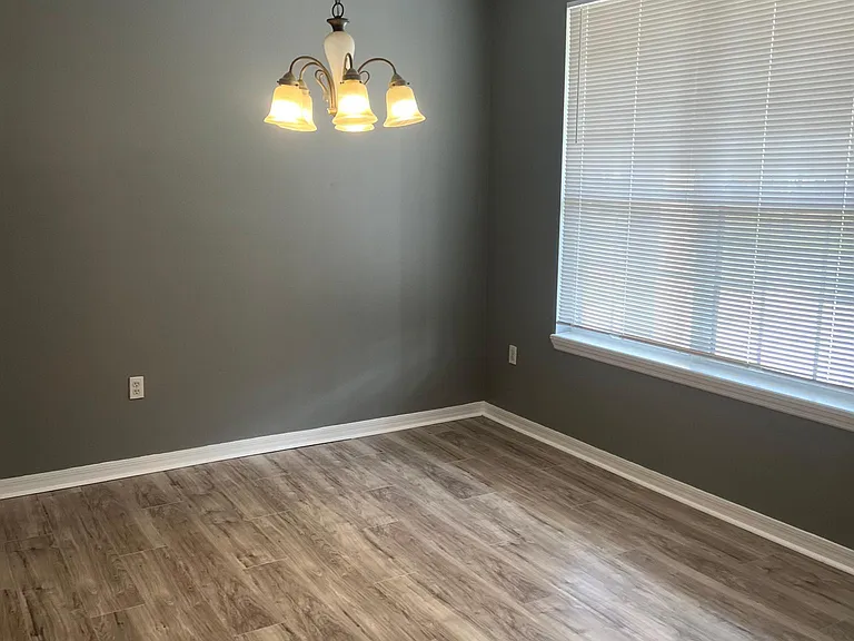 6619 Mangrove Chase Ave — Photo 11
