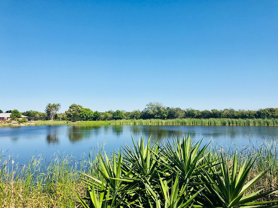 Beautiful Lake View