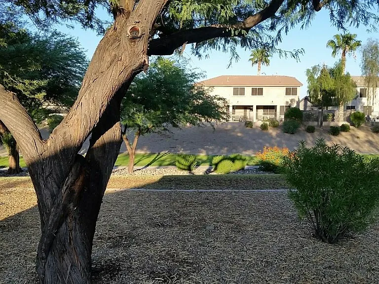 BACKYARD GREENBELT 2