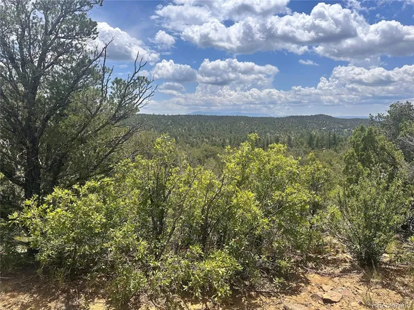 000 El Toro Way, Boncarbo, CO 81082