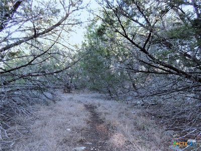 39 Serenade Cir, Wimberley, TX, 78676