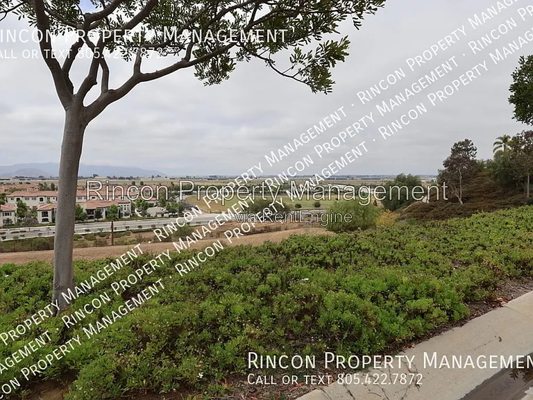 605 Corte Sol — Photo 40
