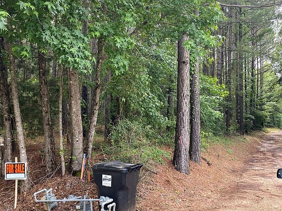 3rd image of 0 Old Plain Dealing Rd