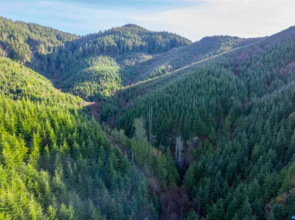 0 Highway 101 N, Manzanita, OR 97130